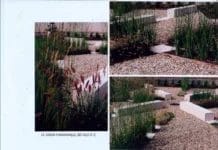 Creation d'un jardin, mairie de Mercurey, 71 - 2007